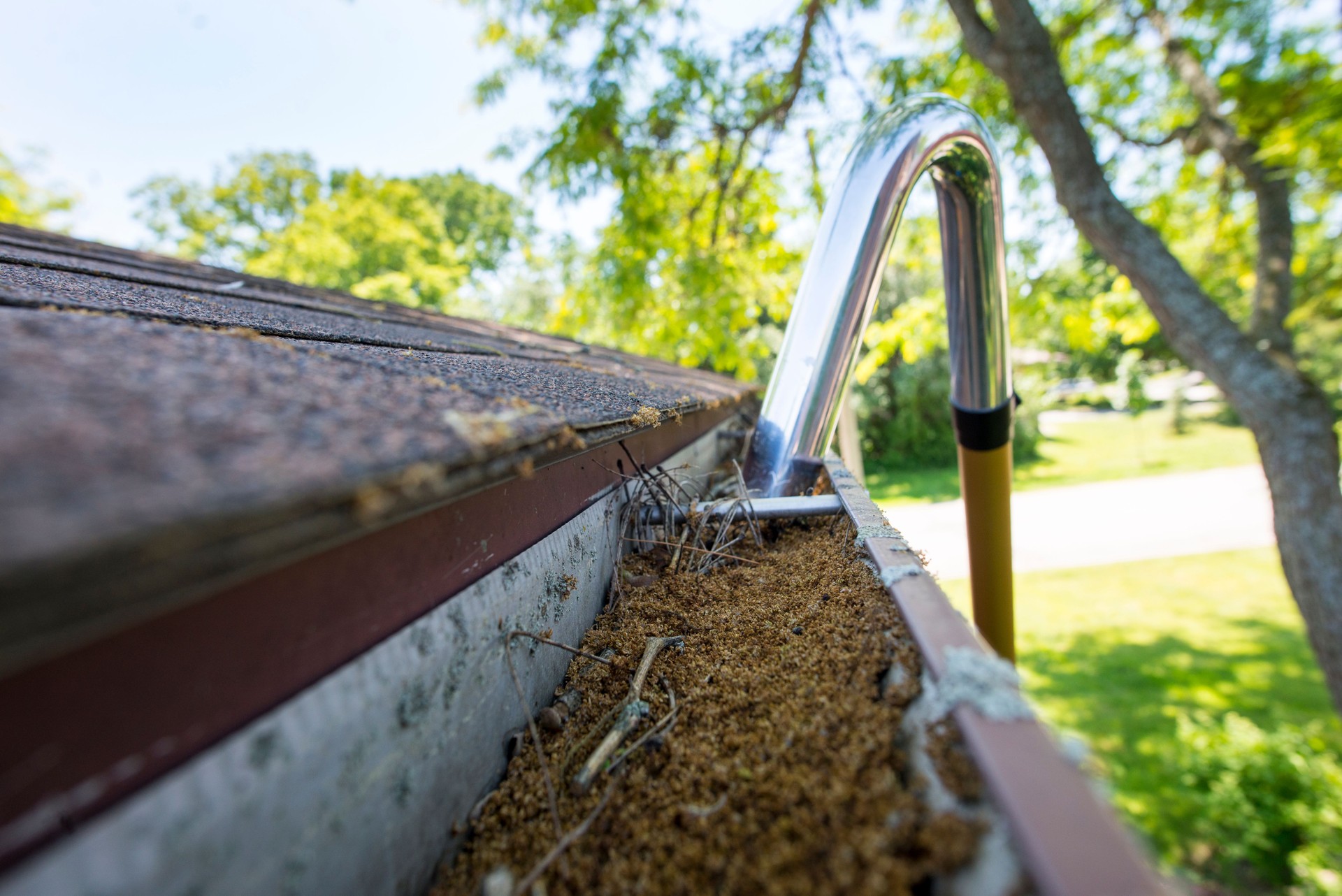 Vacuuming Out the Gutters